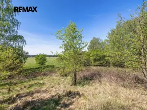 Prodej pozemku pro bydlení, Rapšach, 8139 m2