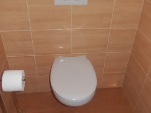 Pronájem bytu 3+1, Zlín - Prštné, Svat. Čecha, 75 m2