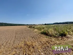 Prodej pole, Jenišovice, 4030 m2