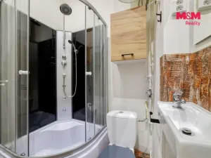 Pronájem bytu 1+kk, Františkovy Lázně, Anglická, 30 m2