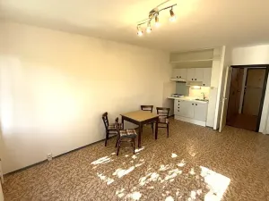 Pronájem bytu 1+kk, Praha - Chodov, Nad Opatovem, 30 m2