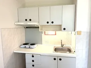 Pronájem bytu 1+kk, Praha - Chodov, Nad Opatovem, 30 m2