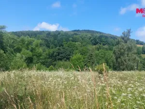 Prodej pozemku pro bydlení, Chrastava - Horní Vítkov, 861 m2