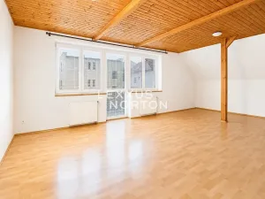 Pronájem vily, Praha - Řeporyje, Žilovská, 480 m2