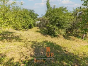 Prodej pozemku pro bydlení, Borotín, 1005 m2