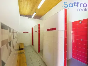 Prodej ubytování, Konstantinovy Lázně, V Aleji, 2252 m2