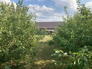Prodej rodinného domu, Kotenčice, 167 m2