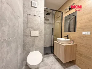 Prodej bytu 1+kk, České Budějovice - České Budějovice 3, Plzeňská, 21 m2
