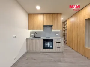 Prodej bytu 1+kk, České Budějovice - České Budějovice 3, Plzeňská, 21 m2