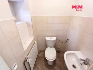 Pronájem obchodního prostoru, Ostrava - Mariánské Hory, 28. října, 40 m2