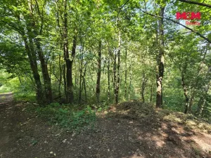 Prodej pozemku, Šemnice, 20949 m2