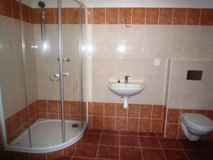 Pronájem bytu 1+kk, Milevsko, 43 m2