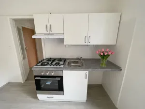 Pronájem bytu 1+1, Litvínov, Seifertova, 25 m2