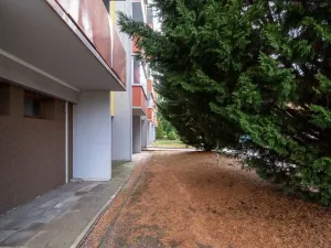 Prodej bytu 3+1, Ivančice, Polní, 75 m2