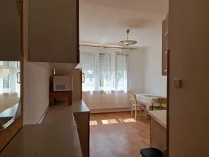 Pronájem bytu 2+kk, Praha - Kamýk, Zvolská, 31 m2