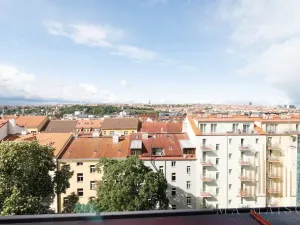 Pronájem bytu 2+kk, Praha - Nusle, Pod vilami, 103 m2