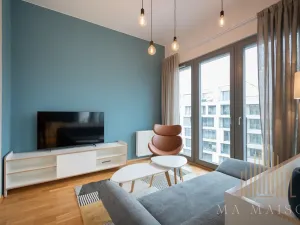 Pronájem bytu 2+kk, Praha - Karlín, Breitfeldova, 59 m2