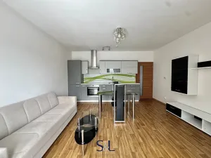 Pronájem bytu 2+kk, Liberec, Podzimní, 50 m2