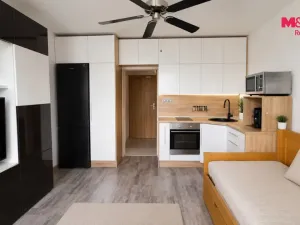 Prodej bytu 1+kk, Ostrava - Hrabůvka, Krakovská, 20 m2