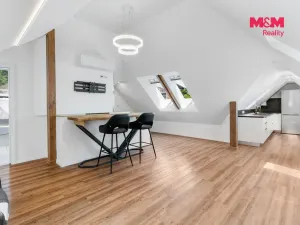 Prodej bytu 2+kk, Liberec, Ruprechtická, 100 m2