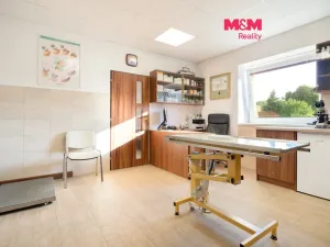 Prodej obchodního prostoru, Lázně Bohdaneč, Škroupova, 202 m2