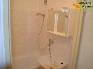 Pronájem bytu 1+1, Ostrava, Mjr. Nováka, 36 m2