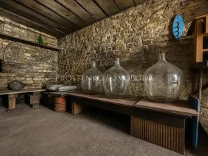 Prodej rodinného domu, Dolní Dunajovice, Hlavní, 244 m2