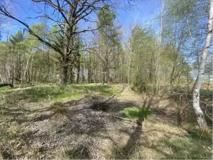 Prodej pozemku, Hranice, 1061 m2