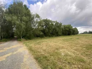 Prodej louky, Nové Hrady - Štiptoň, 6751 m2