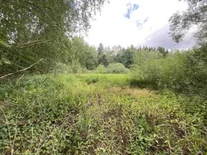 Prodej louky, Nové Hrady - Štiptoň, 6751 m2