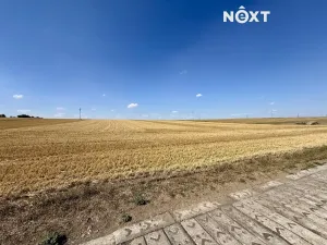 Prodej pozemku pro bydlení, Číčovice, 1214 m2