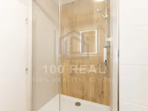 Pronájem bytu 1+kk, Hradec Králové, Selicharova, 30 m2
