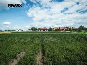 Prodej pozemku pro bydlení, Vitice, 801 m2