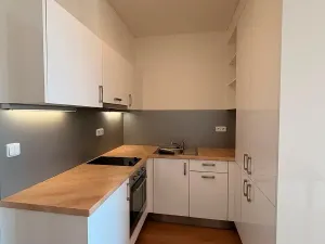Pronájem bytu 1+kk, Brno, Vídeňská, 31 m2