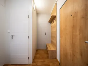 Prodej bytu 1+1, Brno, Kuršova, 41 m2
