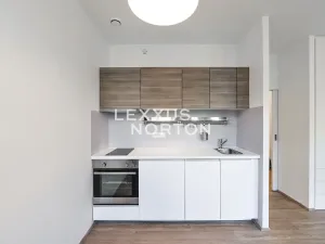Pronájem bytu 1+kk, Praha - Vinohrady, Lucemburská, 30 m2