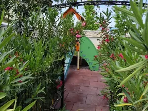 Prodej bytu 1+kk, Nesebar, Bulharsko, 36 m2