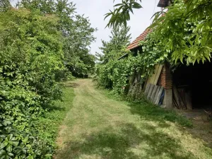 Prodej rodinného domu, Boršice, 250 m2