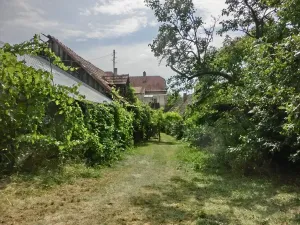 Prodej rodinného domu, Boršice, 250 m2