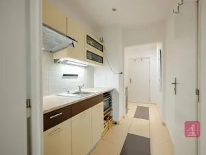 Pronájem bytu 1+kk, Brno, Žitná, 29 m2