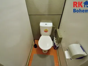 Pronájem bytu 1+kk, Praha - Chodov, Benkova, 30 m2