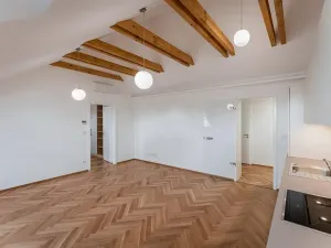 Pronájem bytu 3+kk, Praha - Nové Město, Růžová, 79 m2