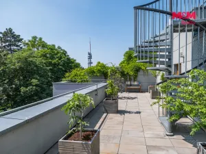 Prodej bytu 5+kk, Praha, Jeseniova, 189 m2