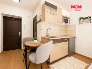 Prodej bytu 1+kk, Líšnice, Spálený Mlýn, 18 m2