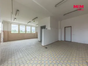 Pronájem skladu, Zdiby - Přemyšlení, U Továrny, 265 m2
