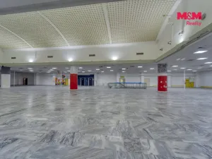 Pronájem obchodního prostoru, Plzeň - Východní Předměstí, Americká, 1603 m2