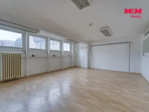 Pronájem obchodního prostoru, Plzeň - Východní Předměstí, Americká, 1603 m2