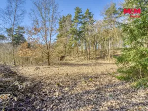 Prodej zahrady, Kunějovice, 1697 m2