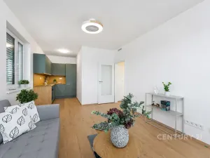 Pronájem bytu 2+kk, Praha, 45 m2