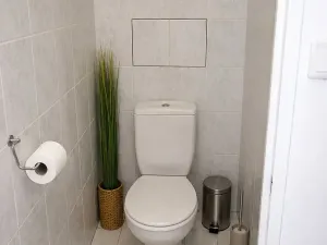 Pronájem bytu 2+1, Brno, Kolaříkova, 68 m2